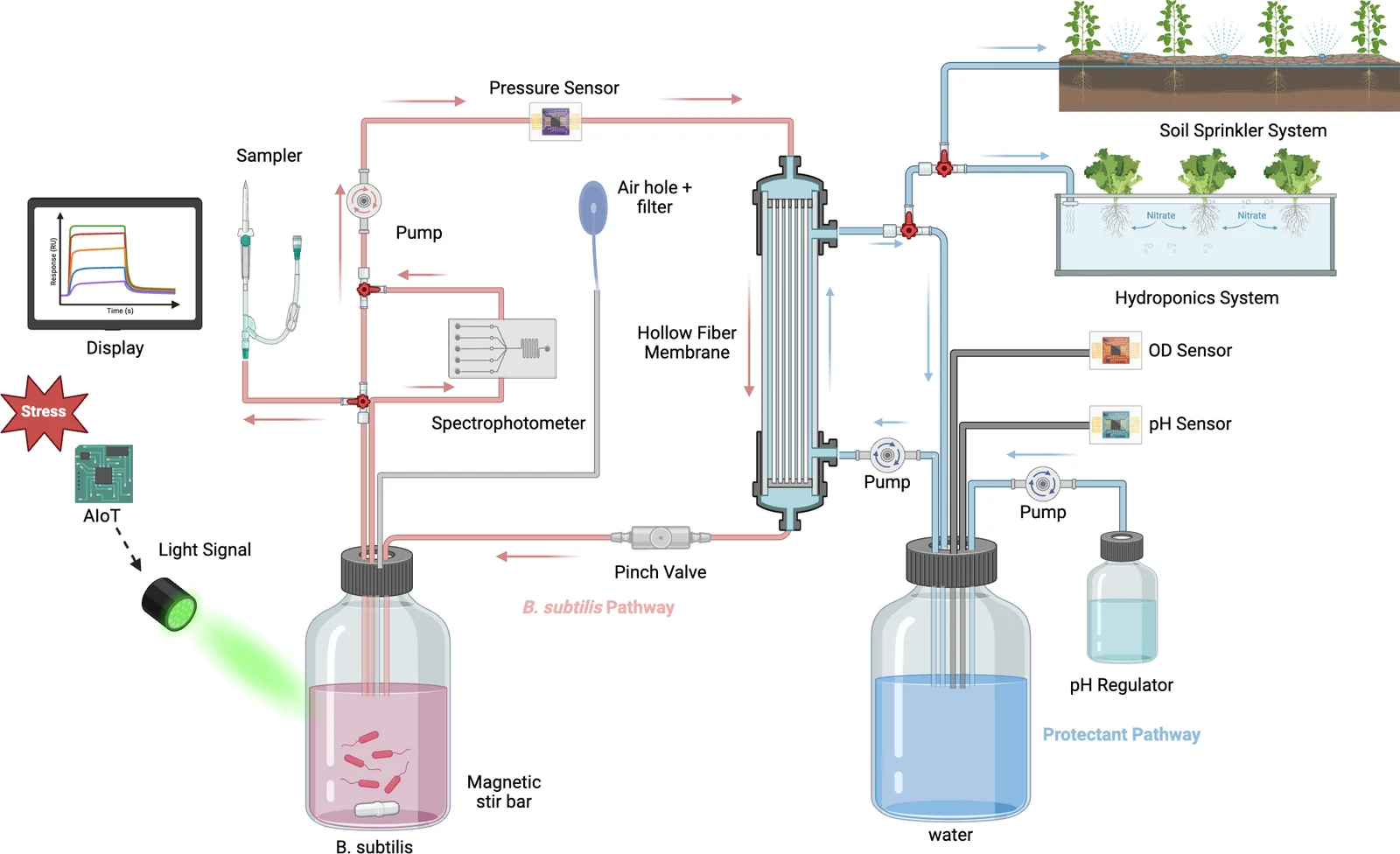System diagram of the perfusion bioreactor: culture vessel under a green LED, peristaltic pump, sampler, spectrophotometer, pressure sensor, hollow-fibre membrane, pinch valve, permeate reservoir with pH regulator, feeding a hydroponics system and a soil sprinkler line.