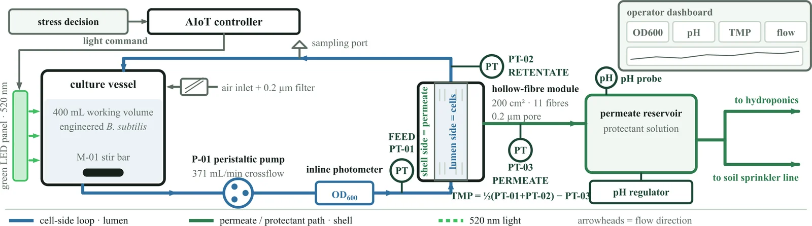 Schematic of the perfusion loop: culture vessel, peristaltic pump, inline photometer, hollow-fiber module with lumen and shell sides, and a permeate reservoir feeding hydroponics and a sprinkler line.