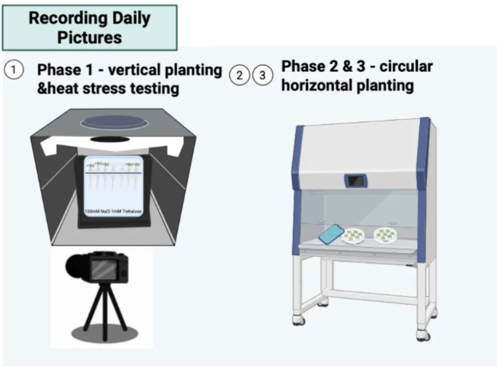 Two imaging setups drawn side by side: a lightbox with a camera on a tripod for vertical plates, and a biosafety cabinet used for photographing circular horizontal plates.