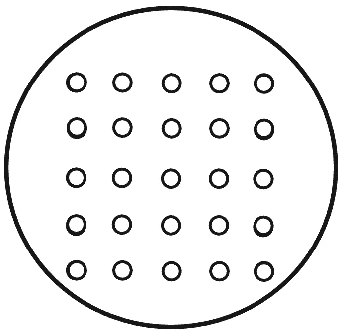 Seed template for a circular plate: twenty-five evenly spaced positions in a five by five grid inside a circle.