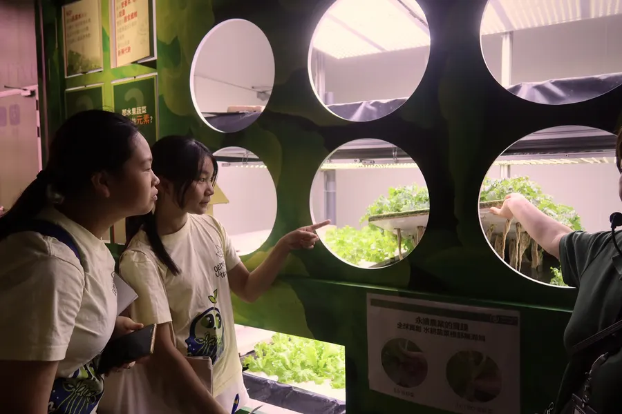 Two ReLEAF students in team shirts look through circular openings cut into a green display wall at trays of hydroponic lettuce growing under strip lights, while a guide reaches in to lift a plant and show its bare roots.