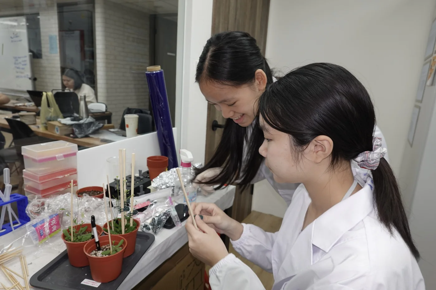 Two ReLEAF students lean over a tray of small terracotta pots of seedlings on a laboratory bench, each pot marked with bamboo stakes. One, in a white lab coat, holds a stake and looks closely at a seedling; stacked sample boxes and labelled trays stand beside them.