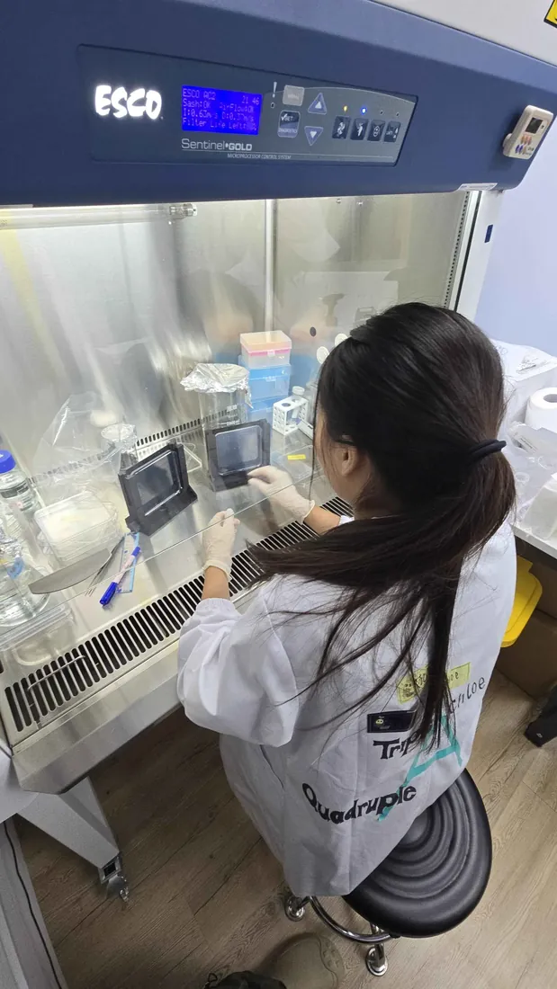 A student in a lab coat works inside the biosafety cabinet, moving seedlings onto fresh plates.