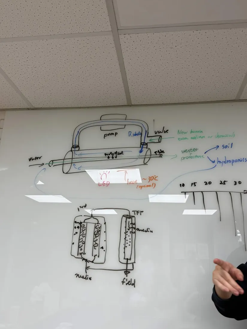 A whiteboard sketch of the hollow-fiber cartridge with the culture loop on one side and the collection stream on the other.