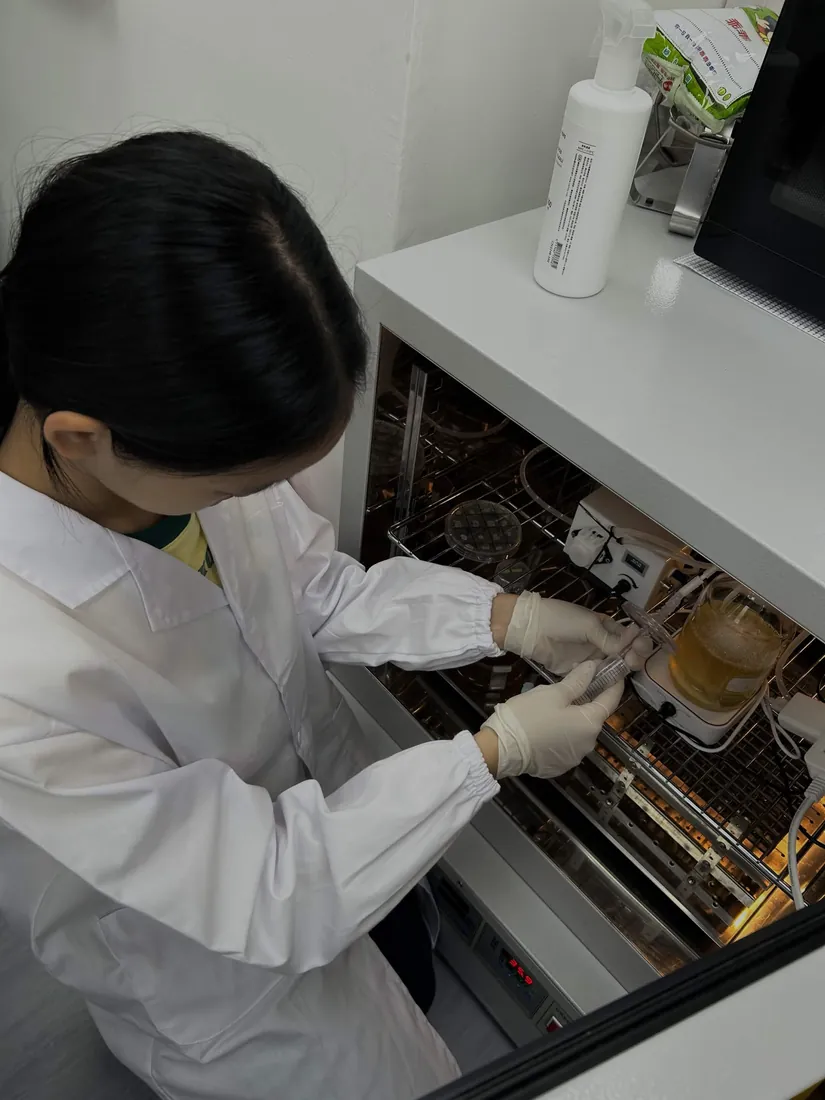A student in gloves draws a sample from the bioreactor loop inside the incubator.