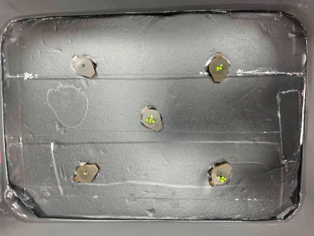 Top view of the first hydroponic box: a black foam board taped over a dark container, with five seed holders pushed through punched holes and a few tiny green seedlings.