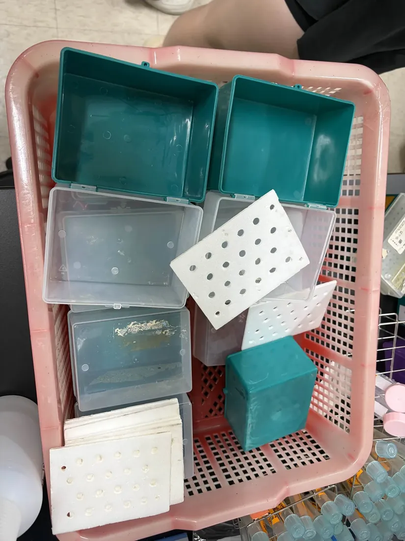 A pink basket in Prof. Cheng's lab holding teal hydroponic boxes, white floating boards and a seed rack.