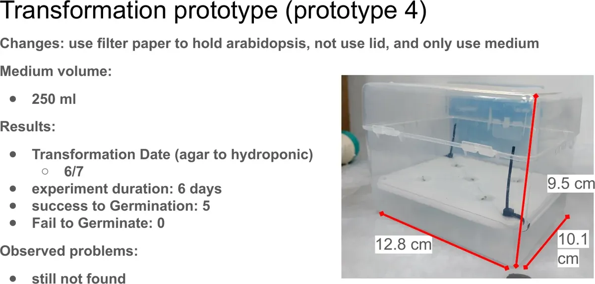 Prototype 4 record card: a larger transparent box with 250 mL of medium and seedlings moved from agar on 7 June; after 6 days 5 were established and none failed.
