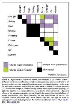 A matrix of nine plant stresses (drought, salinity, heat, chilling, freezing, ozone, pathogen, UV, nutrient) with each pair coloured as a potential negative interaction, potential positive interaction, unknown, or no interaction.