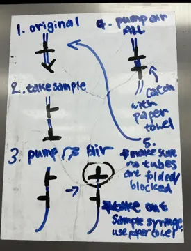 Whiteboard sketch in blue marker of the valve positions: original, take sample, pump air, pump all air out, and check no tubes are folded.