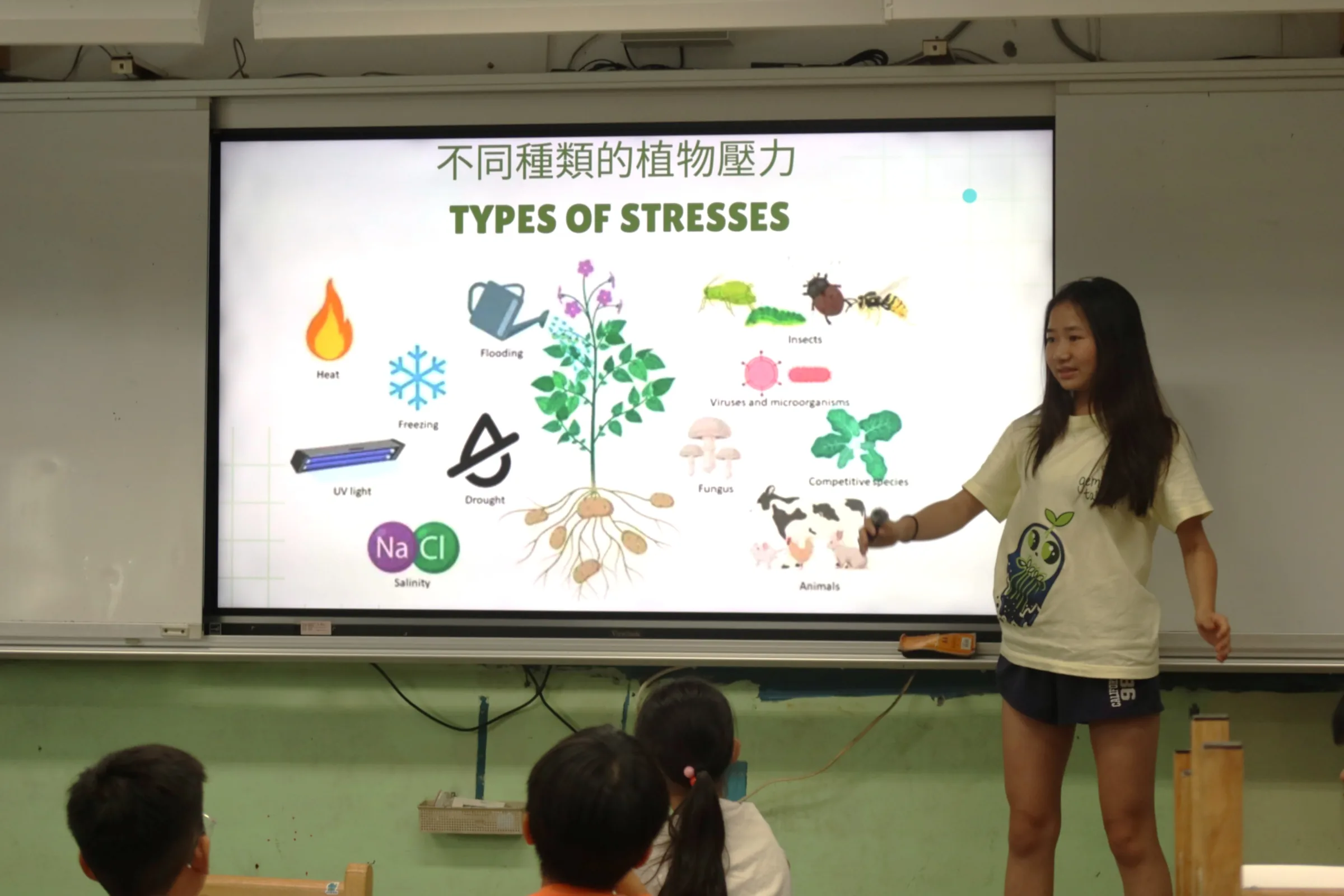 A team member gesturing at a projected slide titled Types of Stresses, showing a plant surrounded by stress icons.