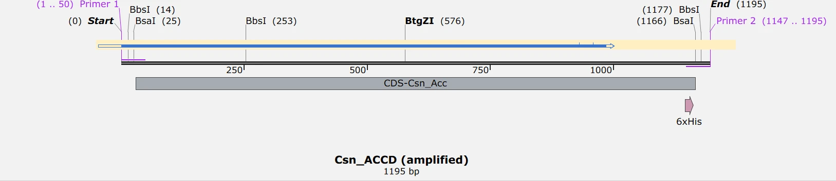 Amplicon map of the Csn to ACCD fusion with the secretion signal at the left, the coding sequence across the middle, and primer tails carrying BbsI and BsaI at both ends.