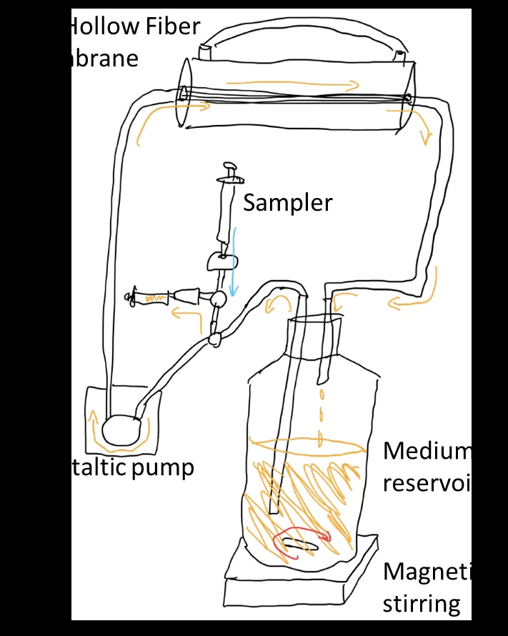 Hand drawing of prototype II: the hollow fibre membrane at the top, a sampler in the middle of the return line, a peristaltic pump at bottom left and the medium reservoir on a magnetic stirrer at bottom right.