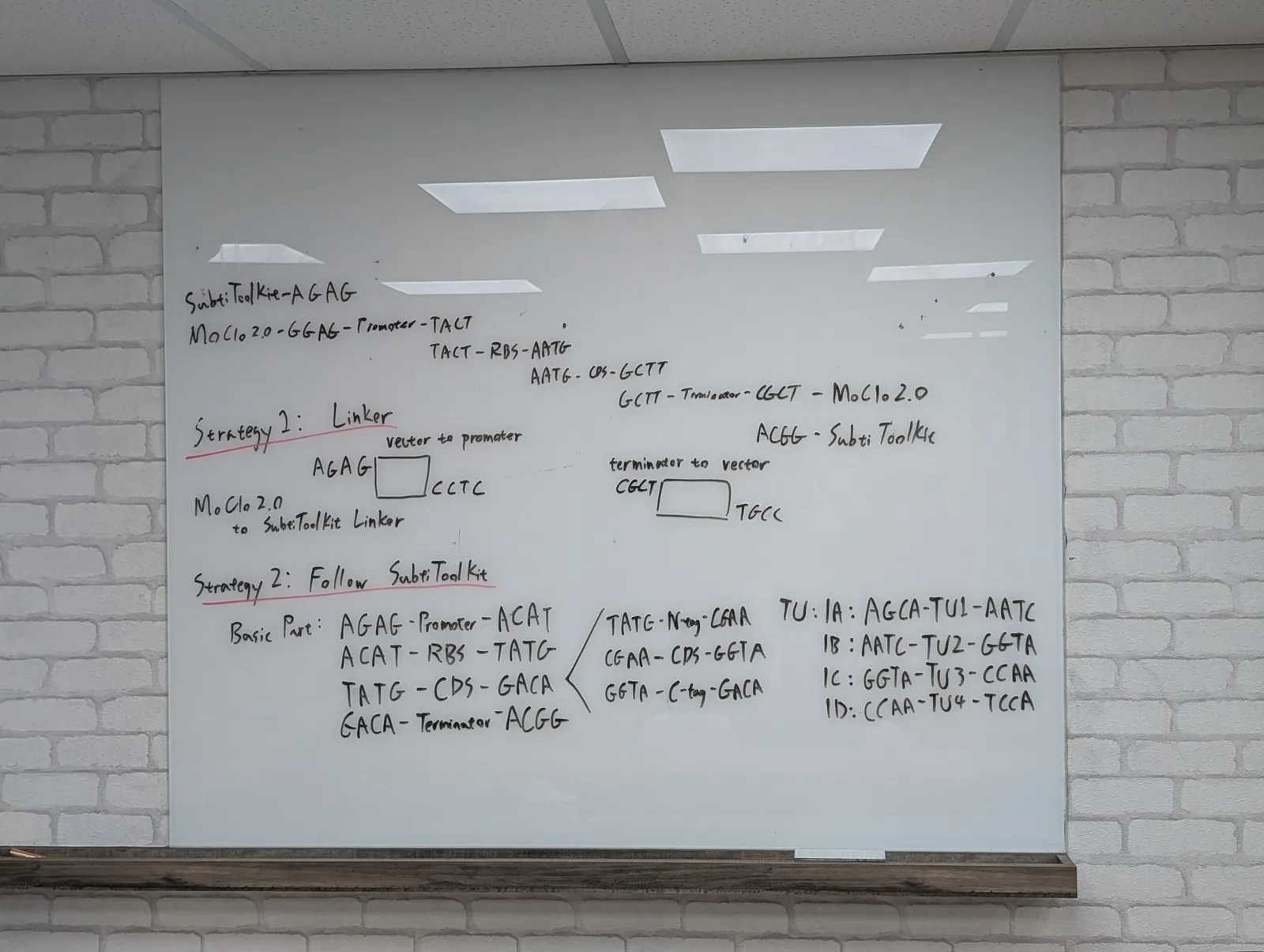 A whiteboard headed with MoClo 2.0 and SubtiToolKit overhangs, showing Strategy 1 linker boxes and Strategy 2 basic part syntax with the four Level 1 transcription unit positions.