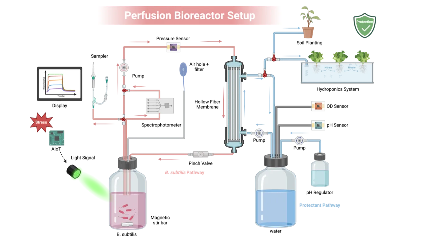 System schematic of the reactor: reservoir, pump, pressure sensor, hollow-fibre module and pinch valve in a loop, with the sampler and in-line photometer on the loop and the permeate leaving through the membrane toward the plants.
