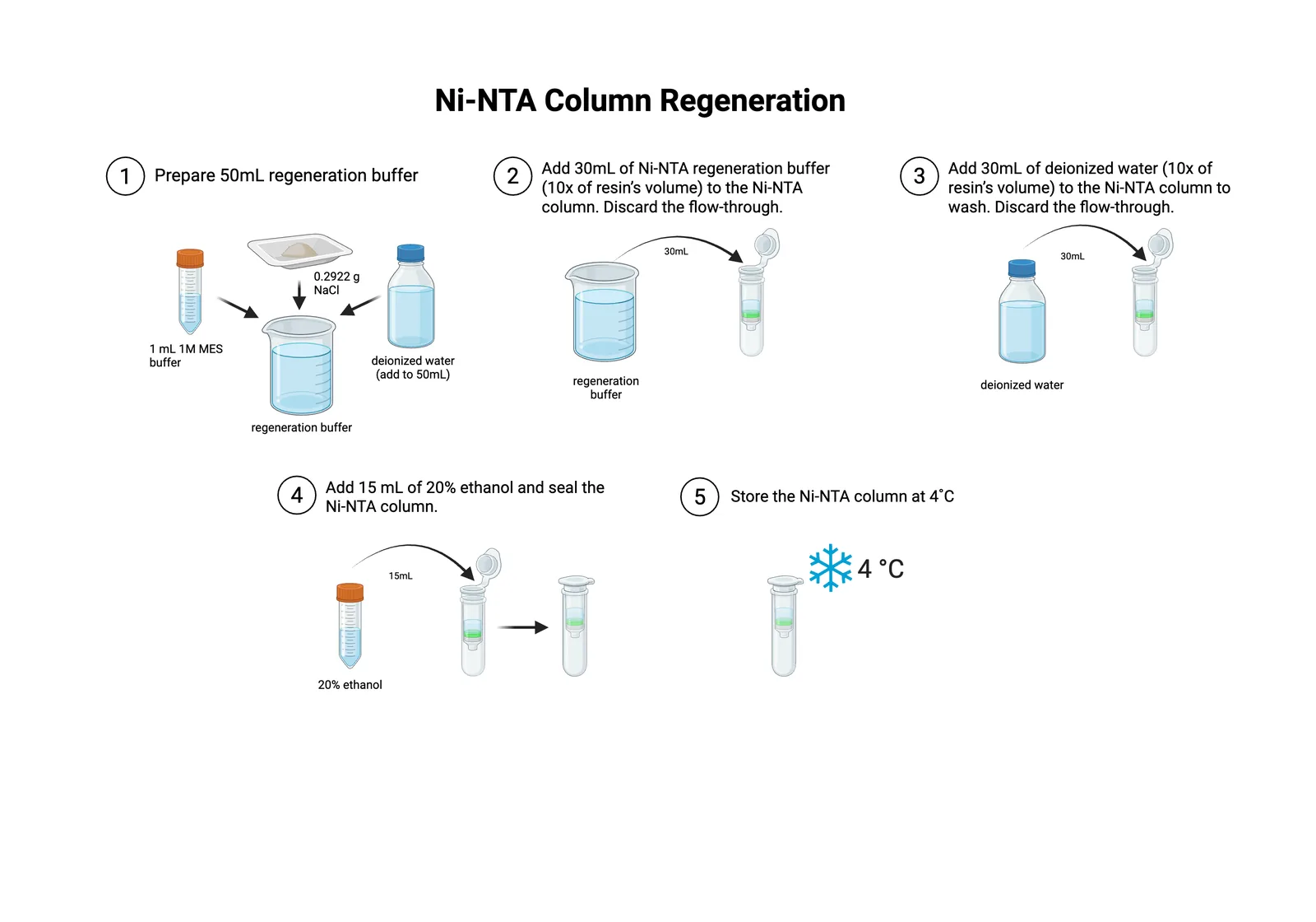 Procedure diagram for Ni-NTA column regeneration: make 50 millilitres of MES and sodium chloride buffer, pass 30 millilitres through the column, wash with 30 millilitres of water, store in 20 percent ethanol at 4 degrees.