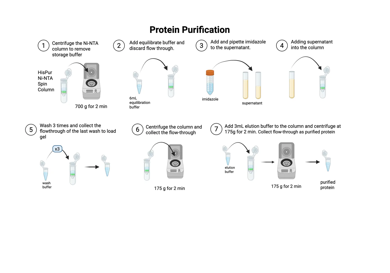 Procedure diagram for Ni-NTA purification: spin off the storage buffer, equilibrate, add imidazole to the supernatant and load it, wash three times, elute at 175 g.