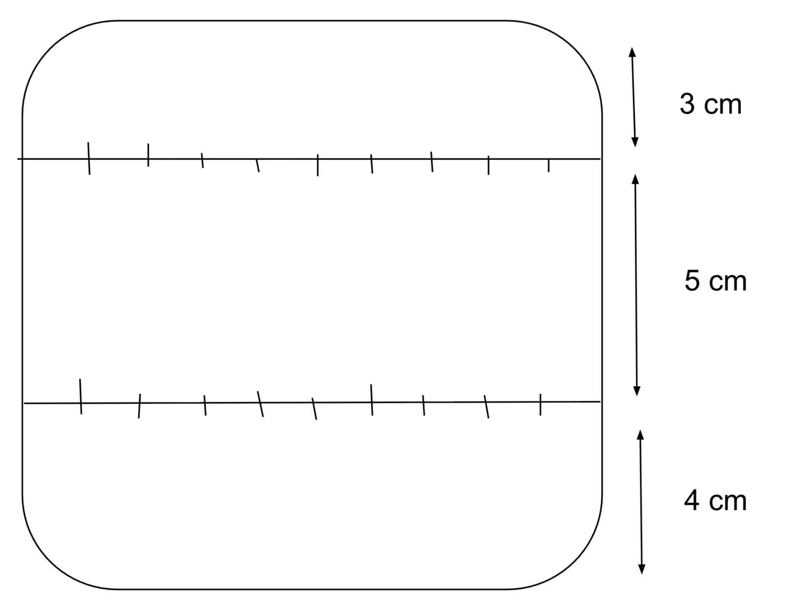 Seed template for a square agar plate: two rows of nine ticks, the first row 3 centimetres from the top, the rows 5 centimetres apart, and 4 centimetres below the second row.