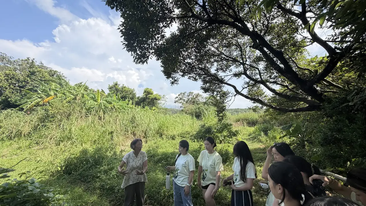 Four team members standing in a field while Farmer Chen, facing them, talks and gestures at the crop around them.