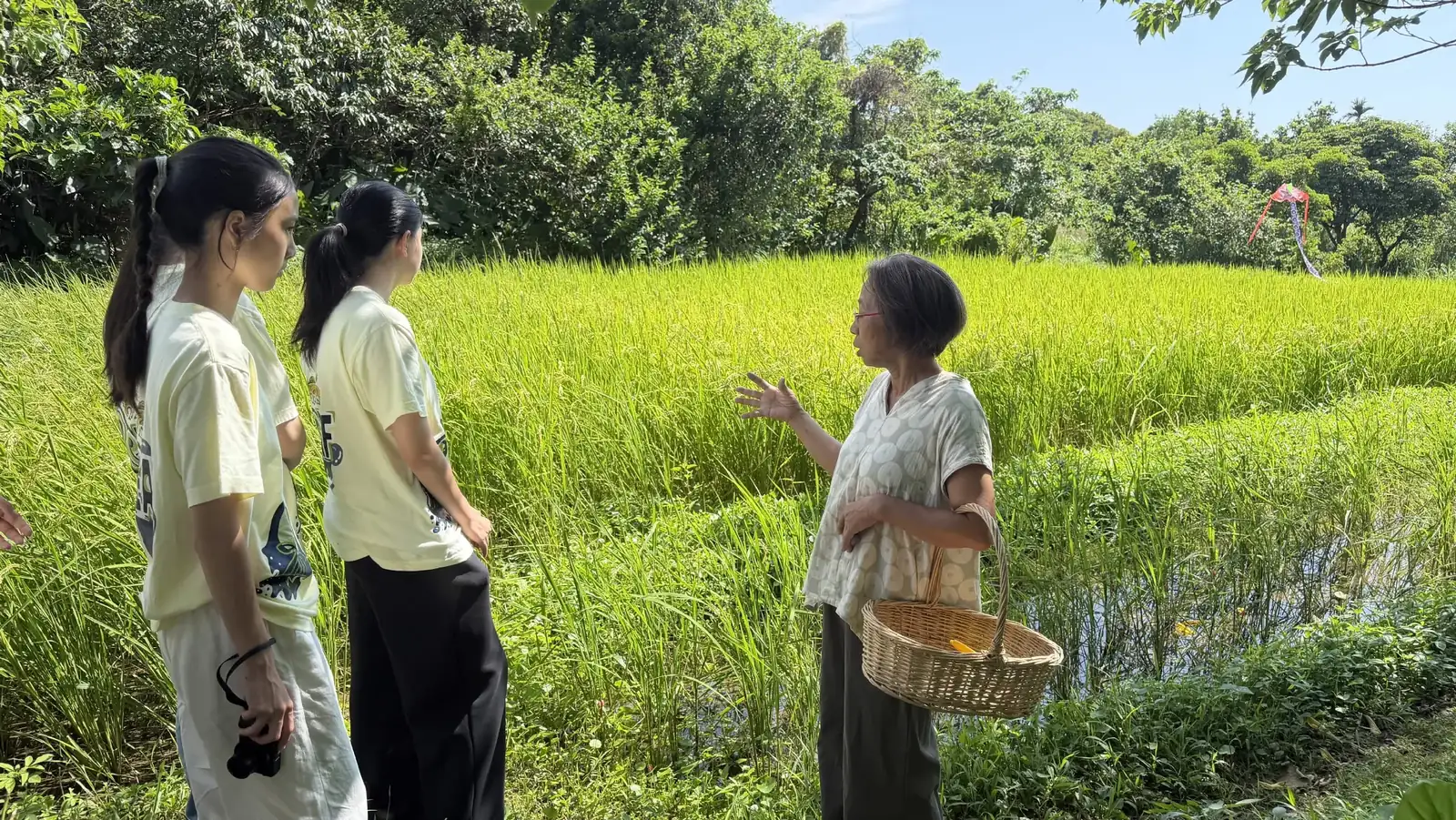Students in ReLEAF shirts standing at the edge of a rice paddy, talking with a farmer who carries a harvesting basket.