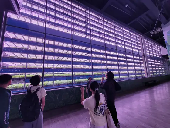 Students facing a long wall of purple-lit growing racks.