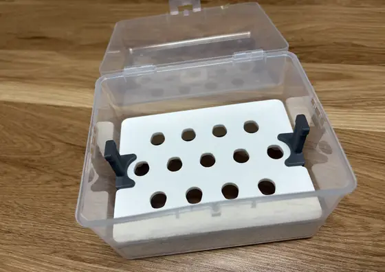 A clear hydroponic box with a white floating seed-holder rack.