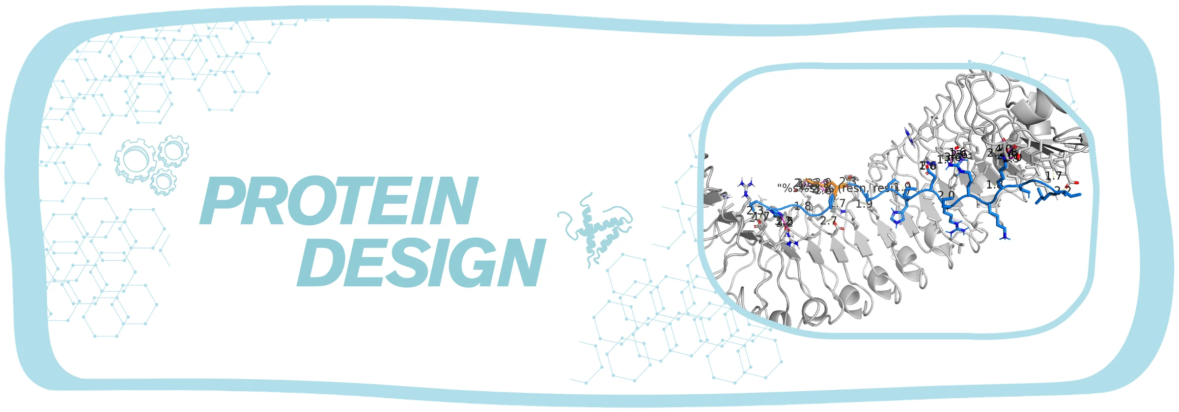 Protein Design. A white ribbon render of the receptor with a peptide chain in blue sticks lying along it, the contact distances labelled.