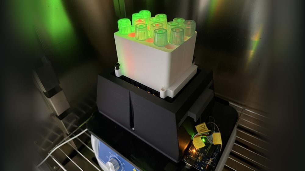 The team&rsquo;s light plate apparatus inside a steel incubator: a white 3D-printed block of culture tubes on its black LED base, the tubes glowing green at visibly different brightness.