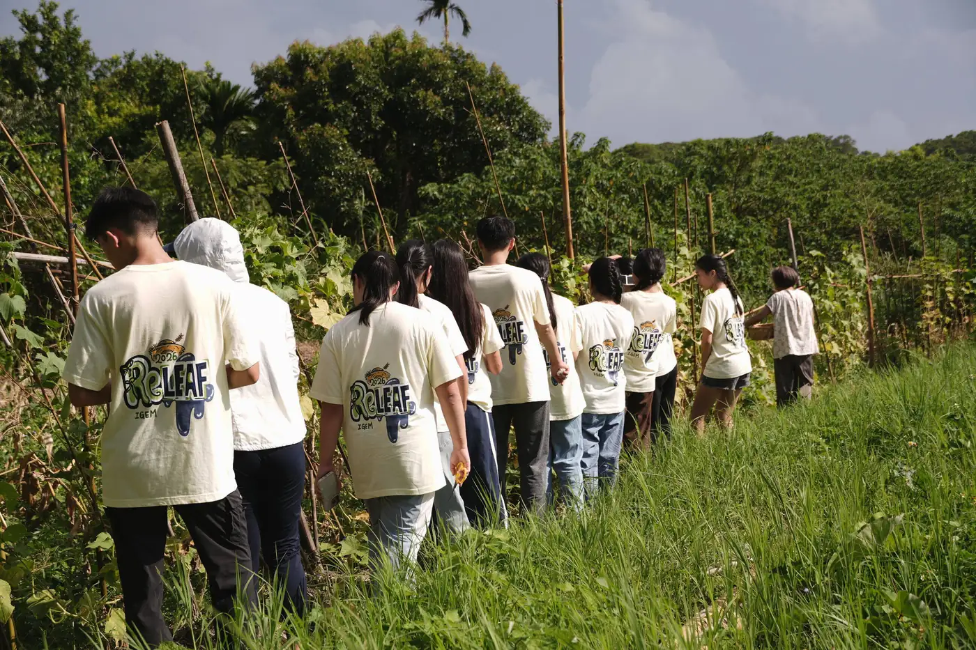 The ReLEAF team in their team shirts walking in single file between bean trellises on Farmer Chen&rsquo;s farm in Tamsui, with Chen at the head of the line.