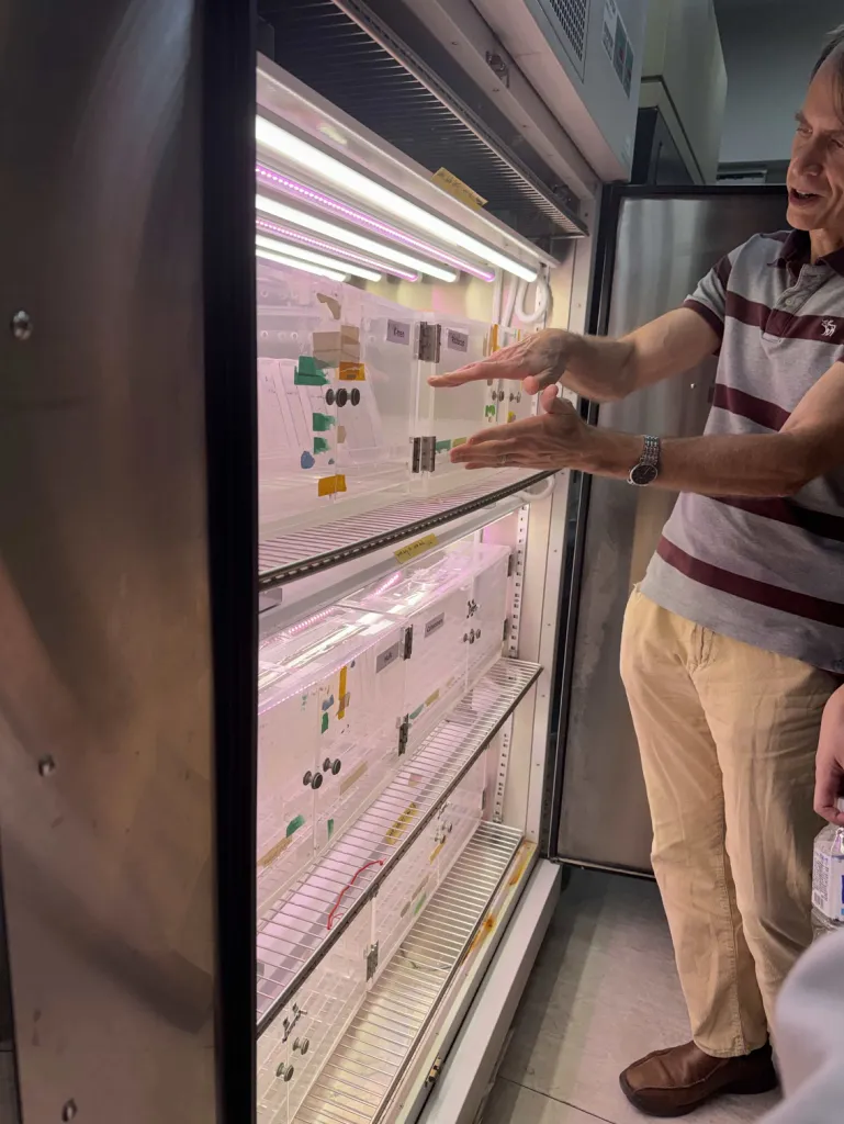 Dr. Verslues gesturing at shelves of plates under grow lights in a growth chamber.