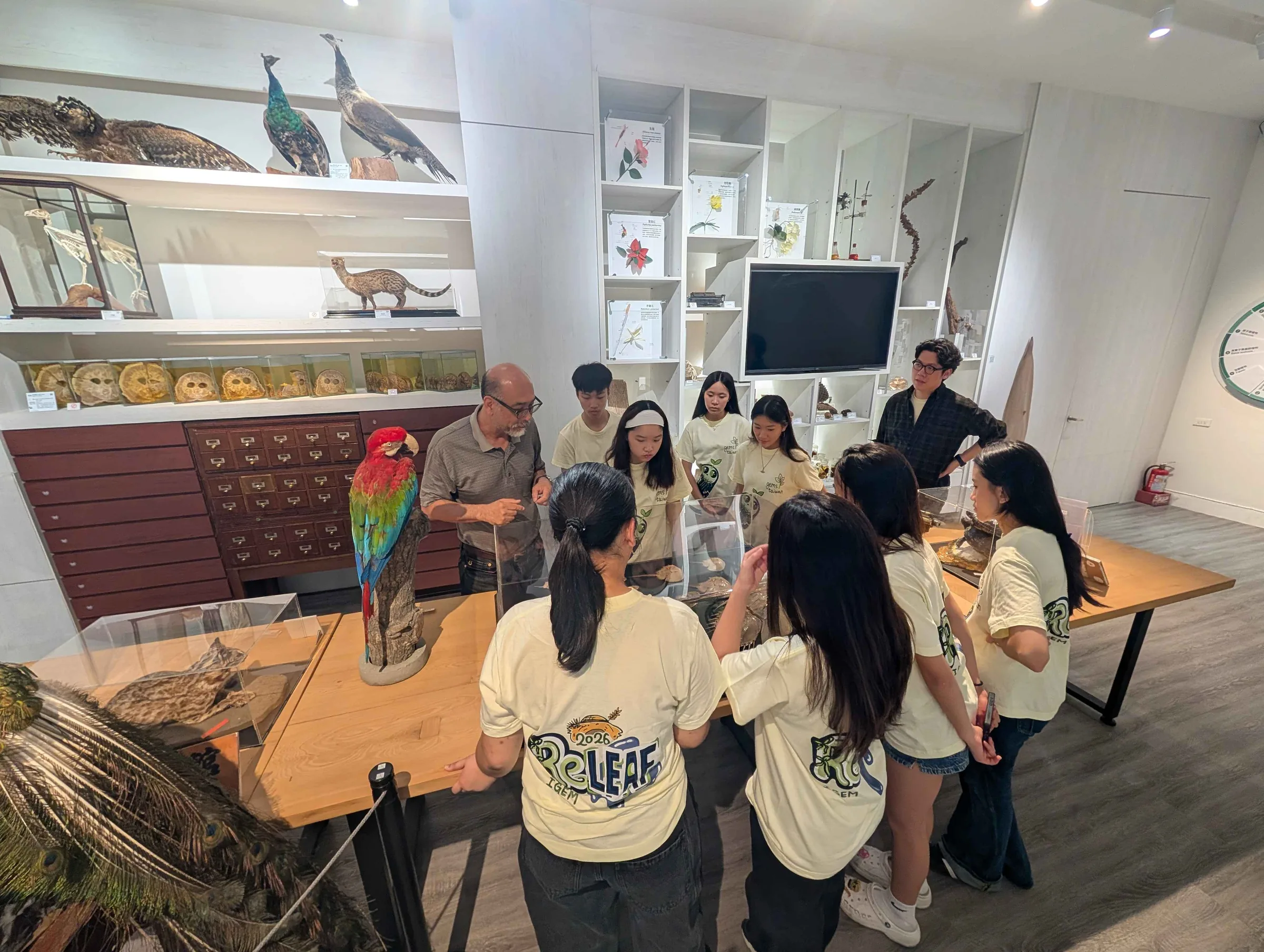 Students gathered around a table of specimens in a display room, with mounted birds on the shelves.
