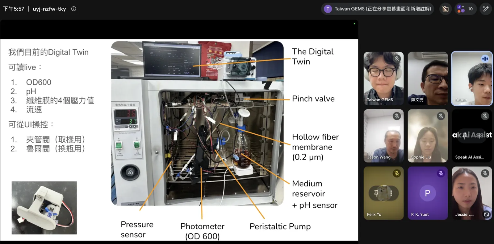 A video call: a slide in Chinese on the digital twin beside a labelled photo of the bioreactor, with the participants&rsquo; tiles on the right.