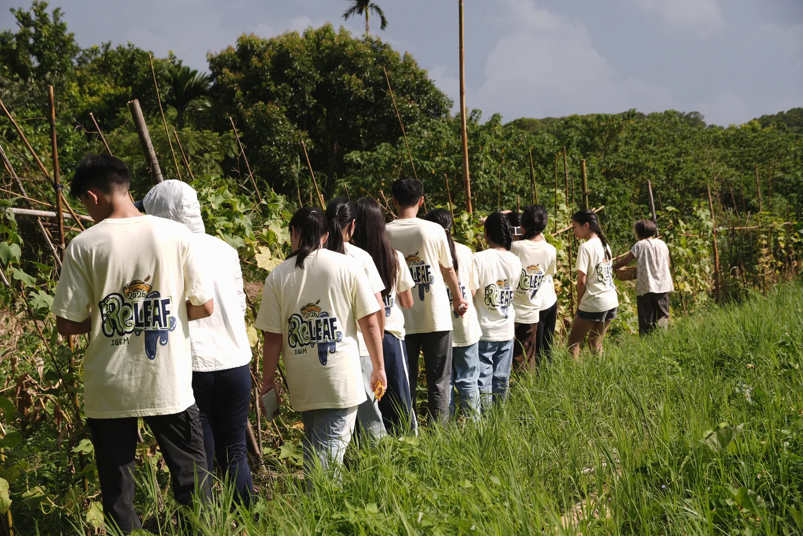 A line of students in team shirts walking into a green field.