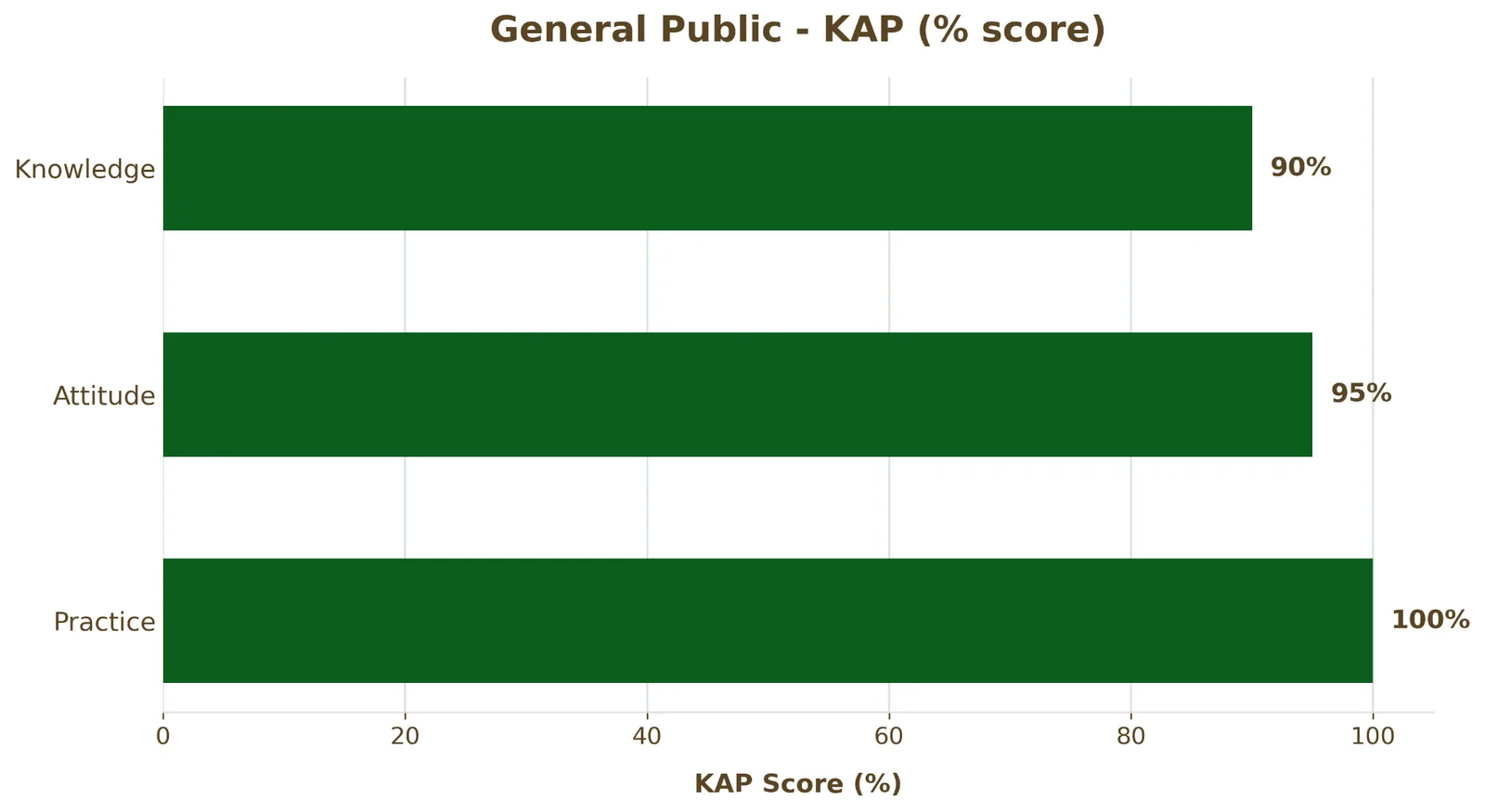 Bar chart of the general public’s KAP scores: knowledge 90%, attitude 95%, practice 100%.