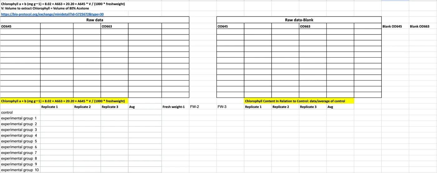 A spreadsheet showing the chlorophyll equation at the top and a table of treatments with three replicates, an average, a fresh weight column and the computed values.