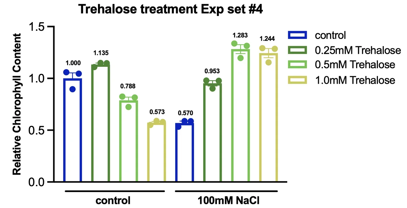 Bar chart of relative chlorophyll content. Under control, the four trehalose doses read 1.000, 1.135, 0.788 and 0.573. Under 100 millimolar sodium chloride they read 0.570, 0.953, 1.283 and 1.244.
