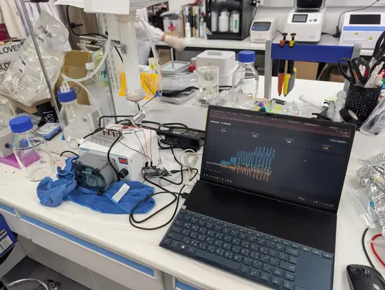 A lab bench with a peristaltic pump, a hollow fibre column on a stand, an Arduino on a breadboard, and a laptop displaying a live oscillating blue and orange pressure trace.