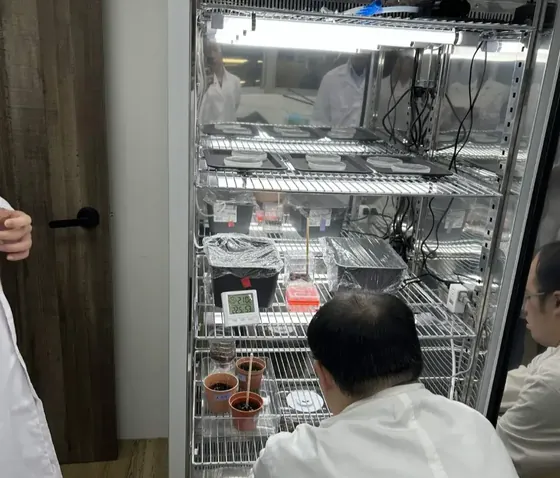 Plant incubator with Arabidopsis plants grown three ways: Arabidopsis grown in agar plates, hydroponic boxes, and potted soil.