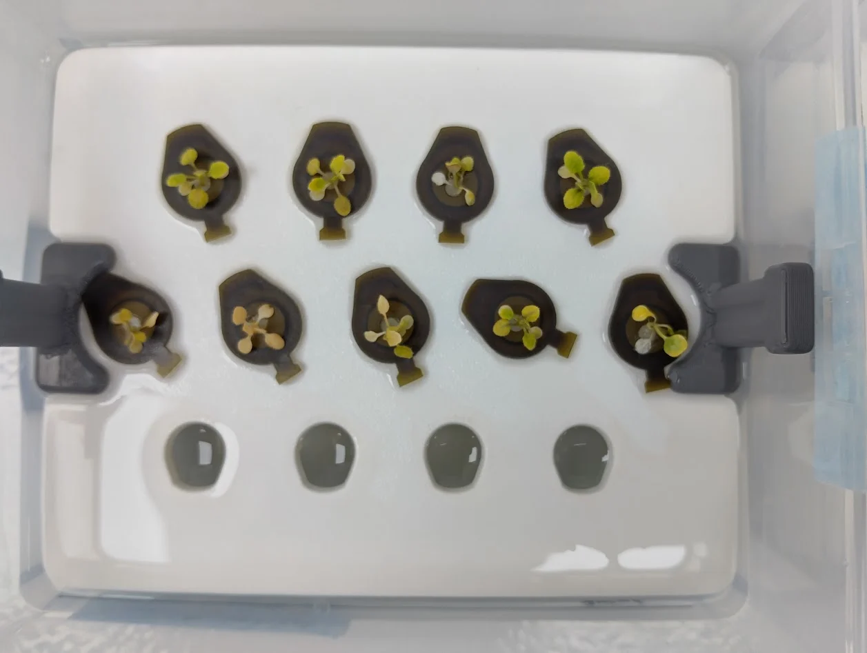 The heat control box from above: green rosettes in a black float board.