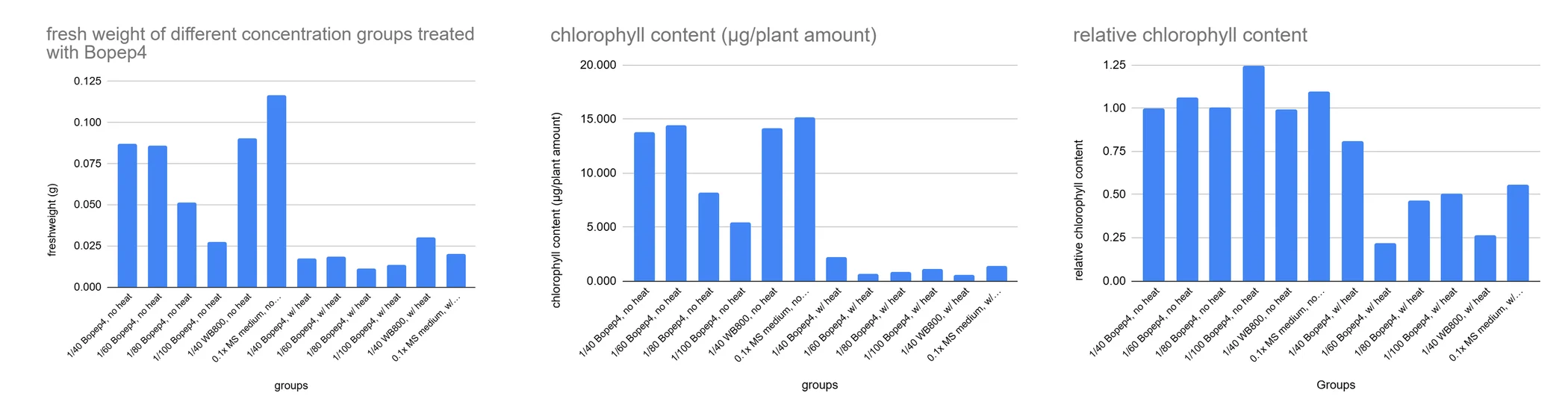 Three bar panels across the BoPEP4 concentration groups after heat: fresh weight in grams, chlorophyll content per plant number, and relative chlorophyll content.