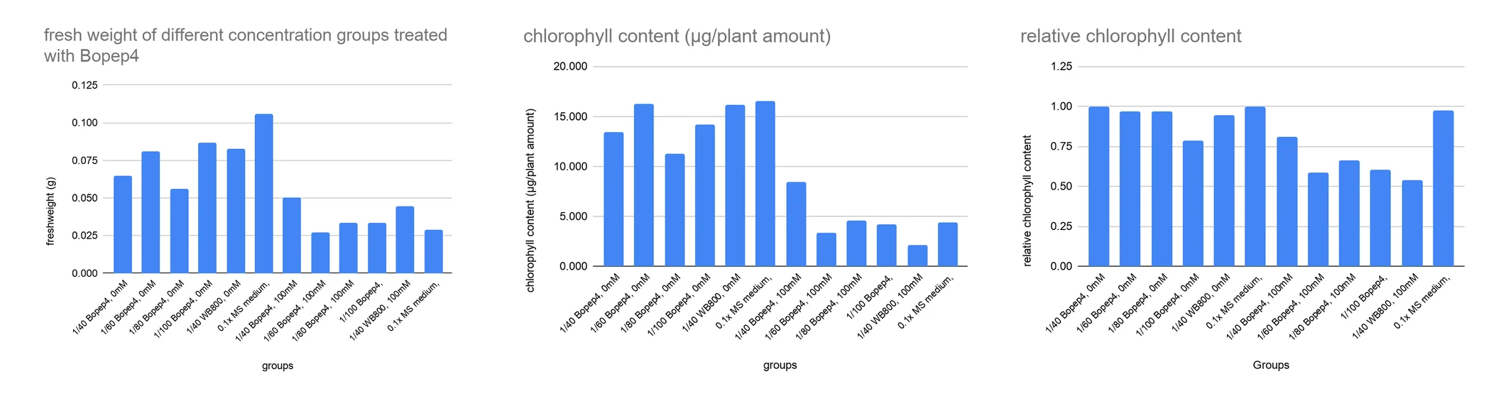 Three bar panels across the BoPEP4 concentration groups: fresh weight in grams, chlorophyll content per plant number, and relative chlorophyll content, with the salt-treated groups lower throughout.