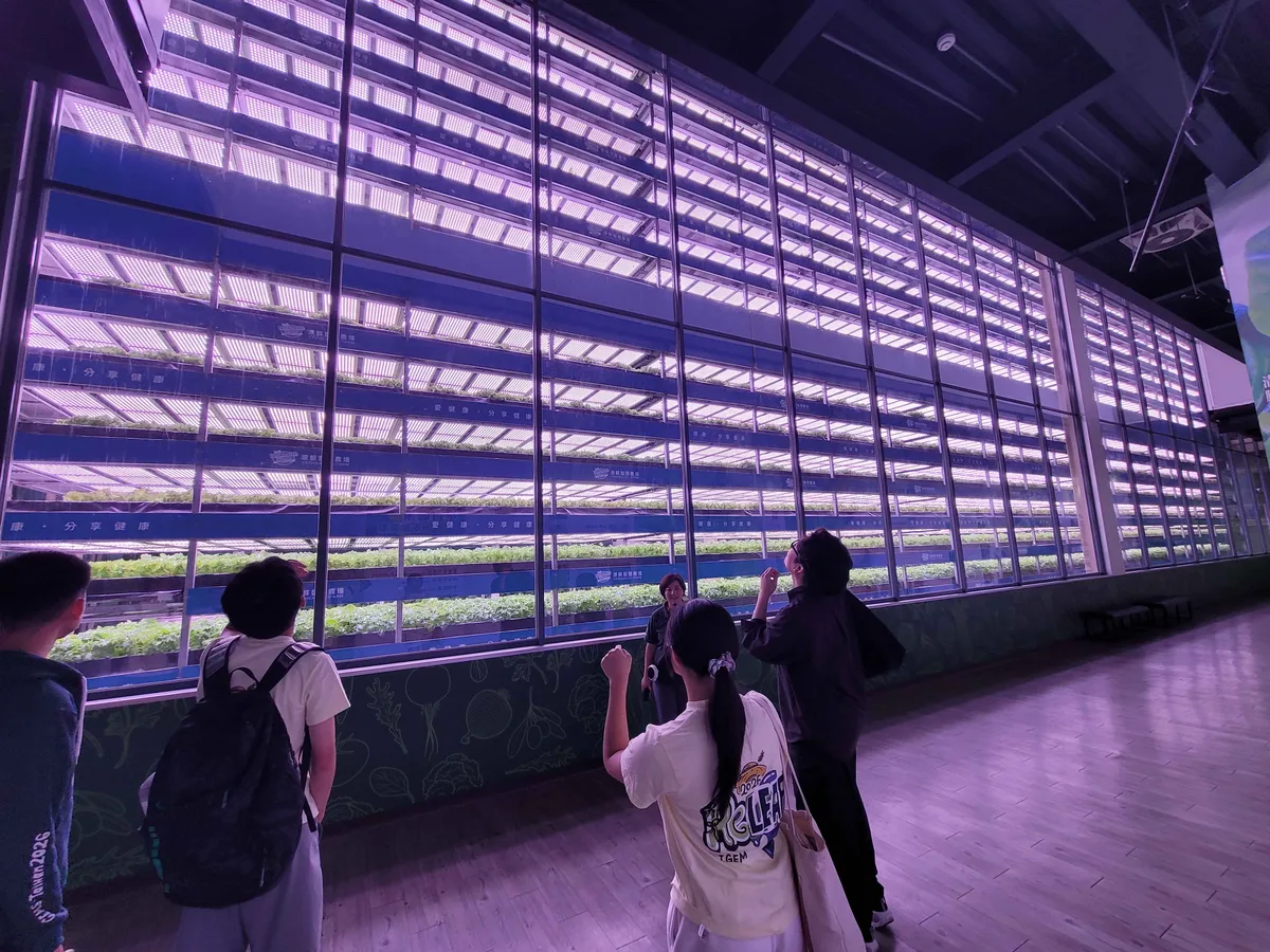 Two students looking at a wall of stacked hydroponic racks under purple grow lights.