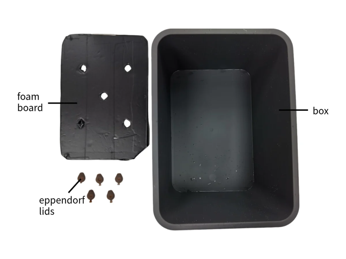 The tub beside its black foam board and five Eppendorf lids.
