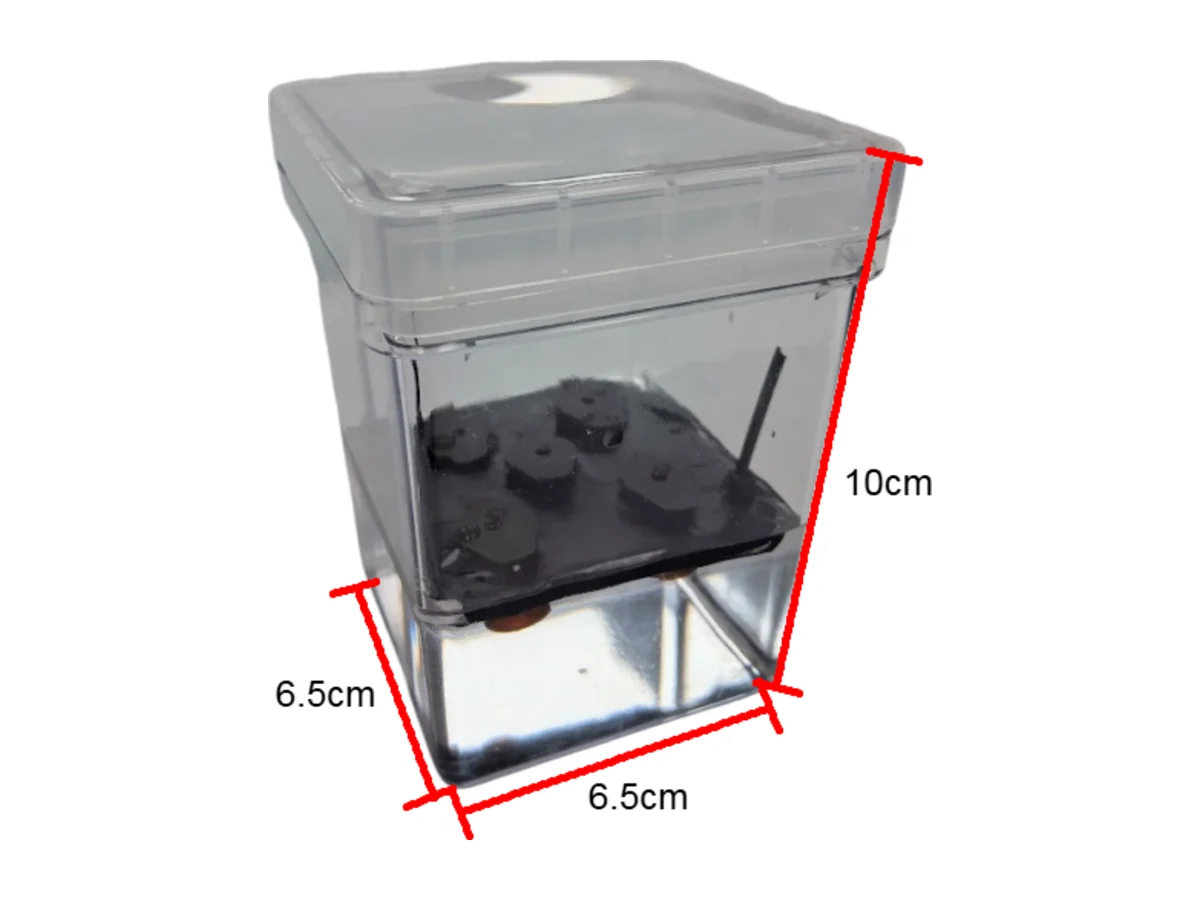 Prototype 3: a tall clear box, 6.5 by 6.5 by 10 centimetres, with a black foam board inside.
