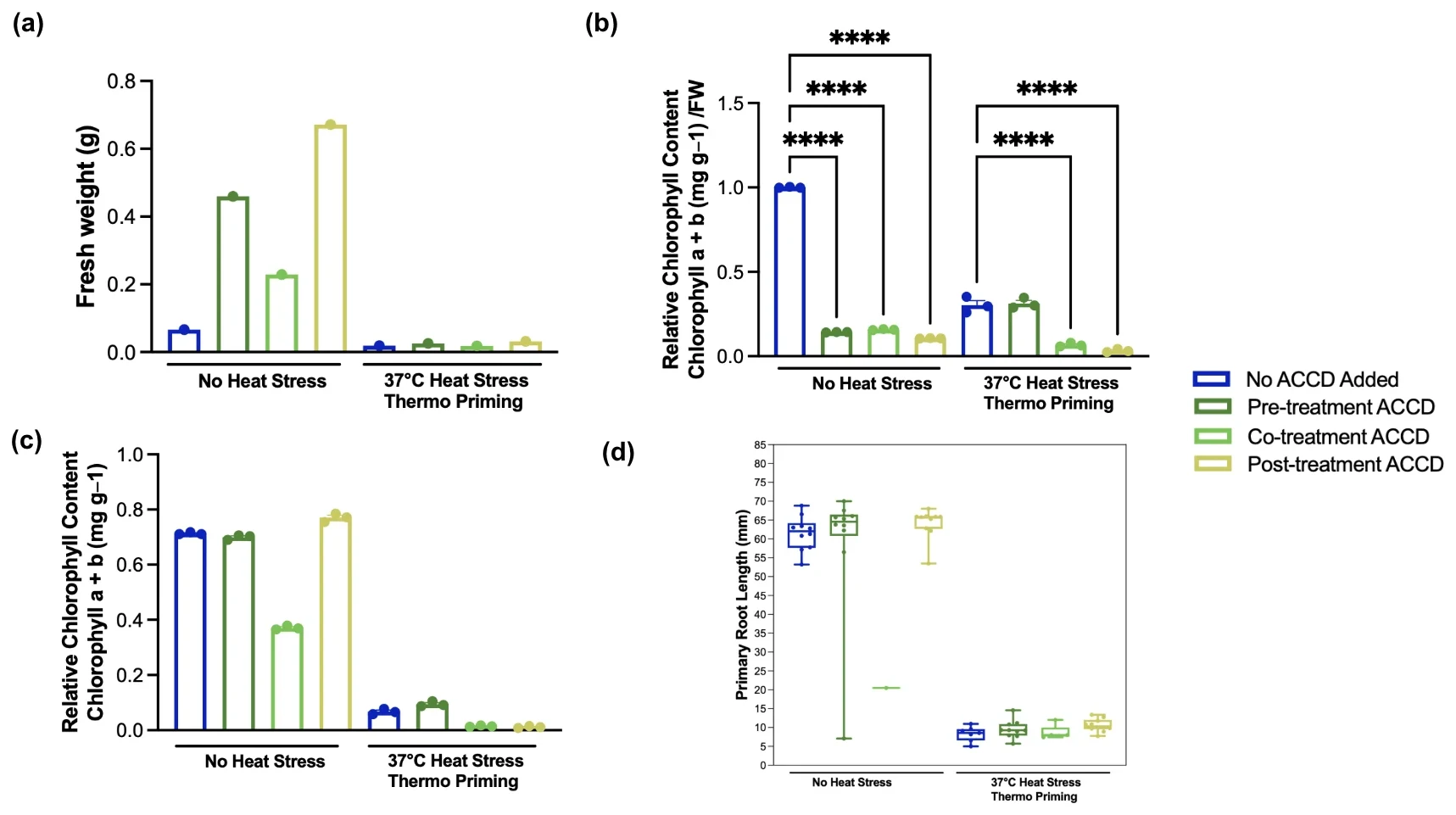 Four panels for no ACCD, pre-, co- and post-treatment ACCD with no heat stress and with 37 degree thermo priming: fresh weight, relative chlorophyll with fresh weight normalization, without normalization, and primary root length.