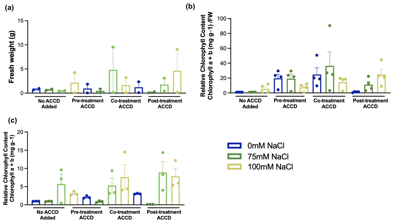 Three panels for no ACCD, pre-, co- and post-treatment at 0, 75 and 100 millimolar NaCl: fresh weight, relative chlorophyll with fresh weight normalization, and without. Error bars are wide.