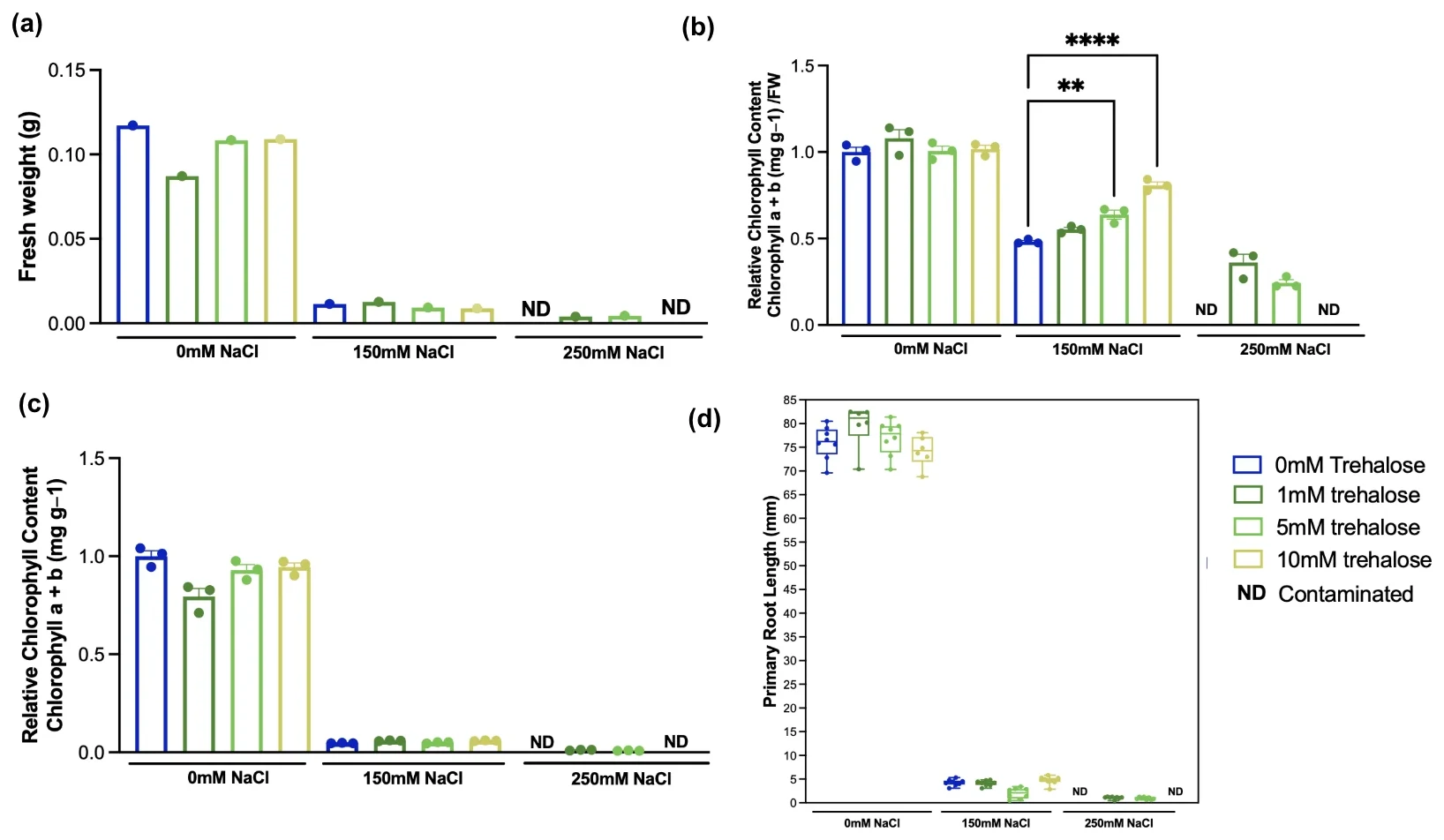 Four panels: fresh weight; relative chlorophyll with fresh weight normalization, with brackets at 150 millimolar; relative chlorophyll without normalization; primary root length. Several 250 millimolar groups are marked ND.