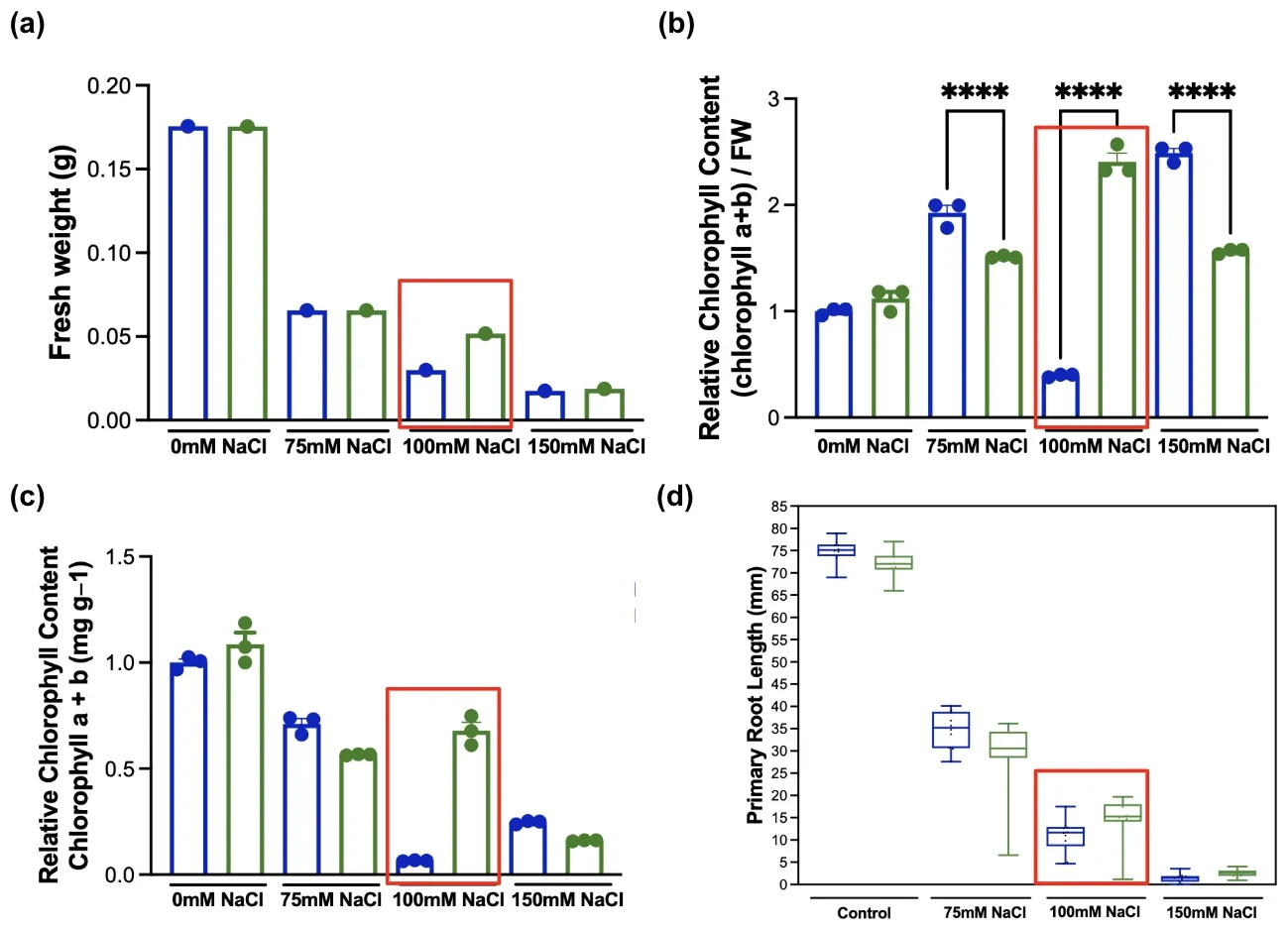 Four panels: fresh weight; relative chlorophyll with fresh weight normalization, with significance brackets at 75, 100 and 150 millimolar and a red box around 100 millimolar; relative chlorophyll without normalization; primary root length.