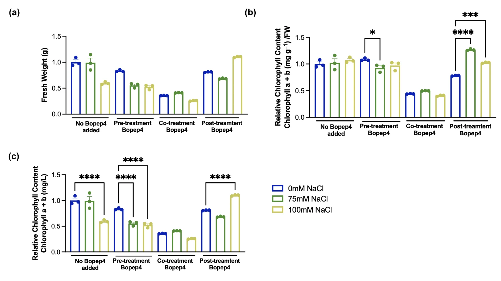 Three panels for no BoPEP4 added, pre-, co- and post-treatment, each with bars for 0, 75 and 100 millimolar NaCl: fresh weight, relative chlorophyll with fresh weight normalization, and relative chlorophyll without normalization, with significance brackets on the pre- and post-treatment groups.