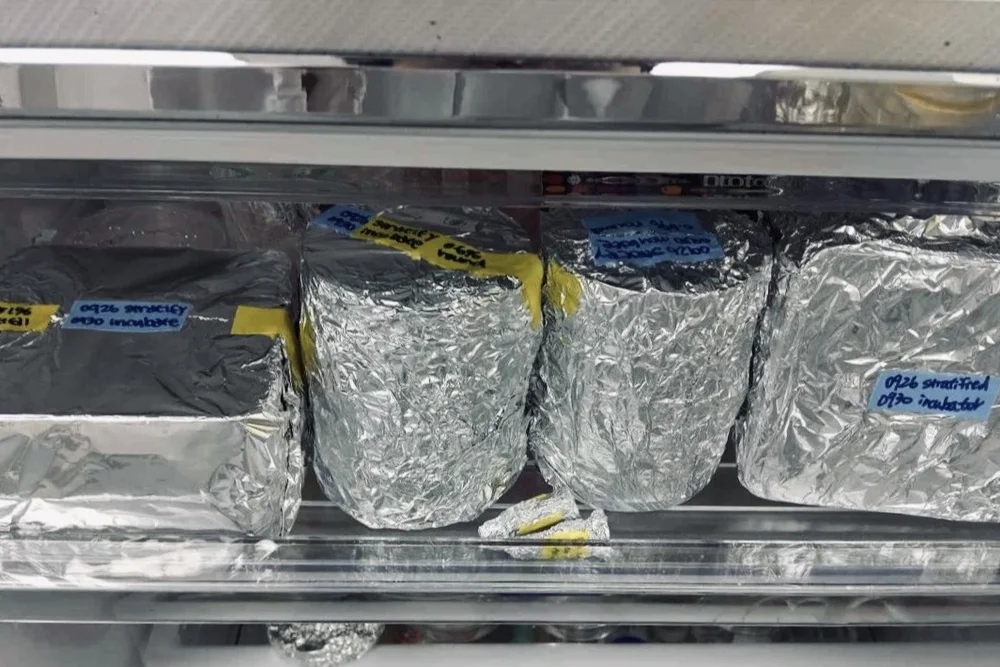 Plates wrapped in aluminium foil and labelled, stacked on a shelf in the cold room.